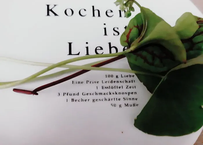 Wiedhoehen Apartamento