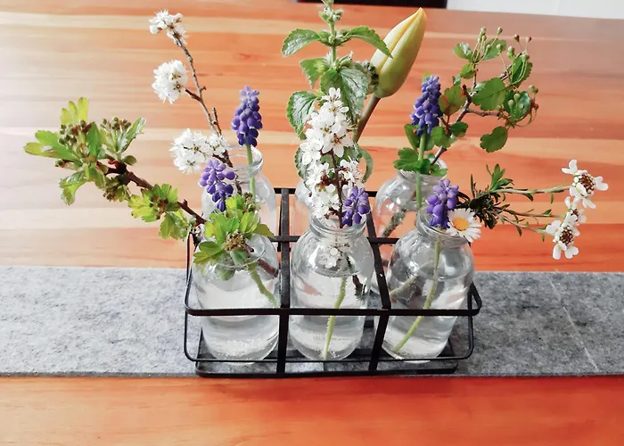 Wiedhoehen Apartamento *